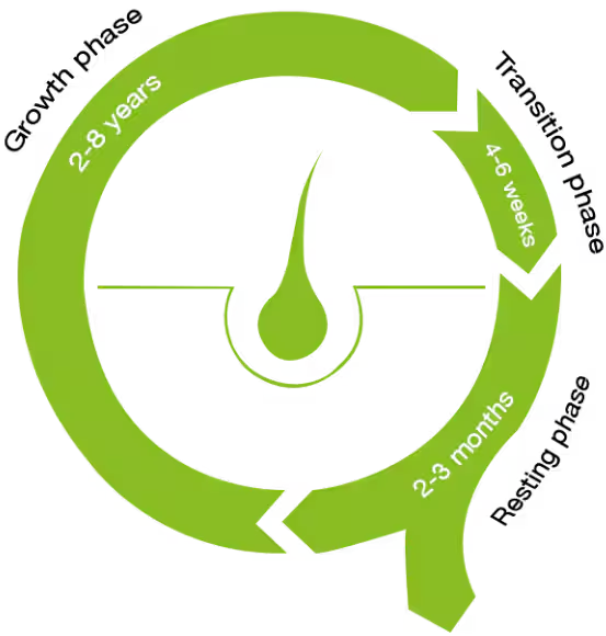 كبسولات لنمو الشعر كبسولات Priorin®N